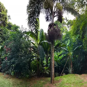 La Nature , Au Cap Seychellen